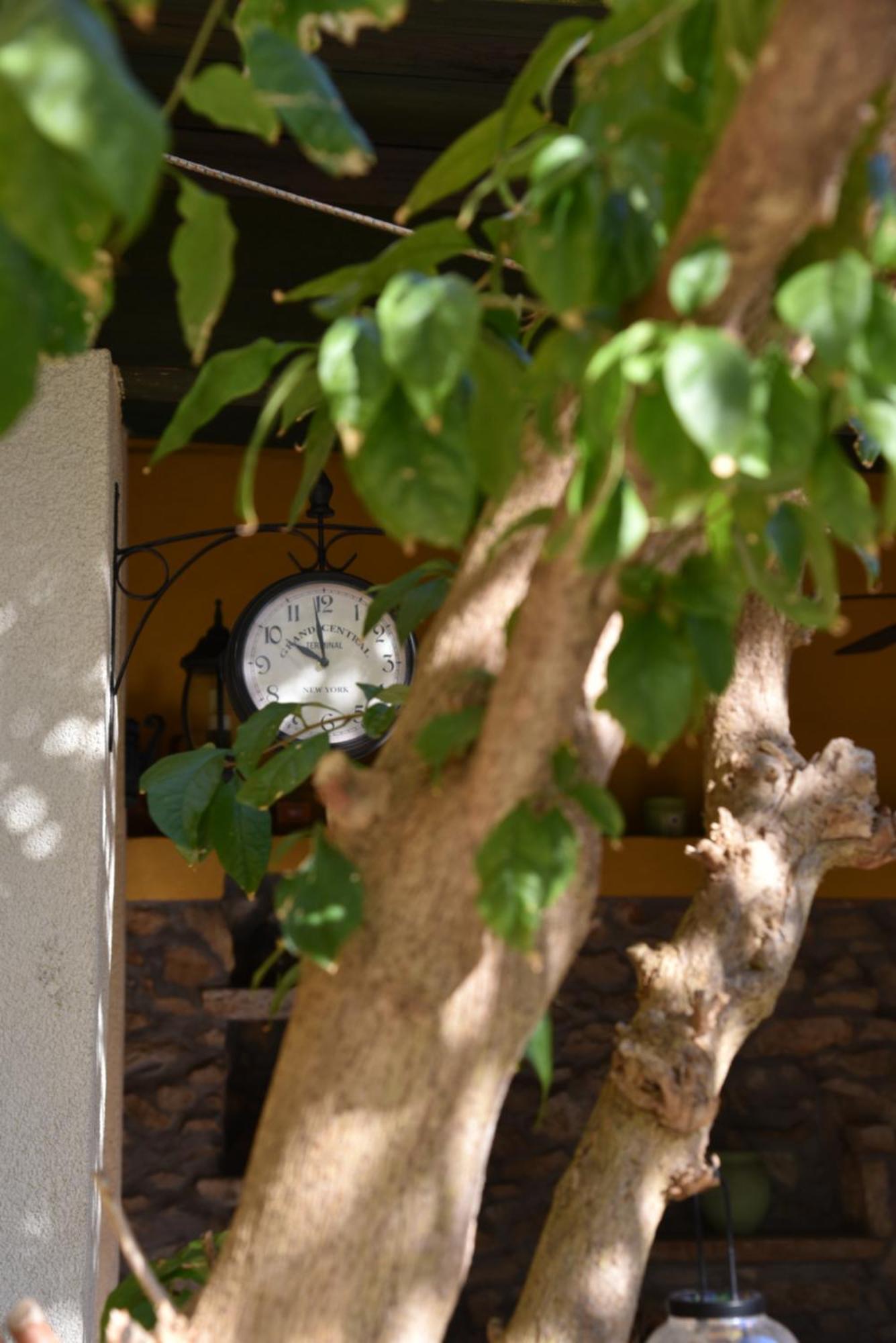 House Justina Vilă Zadar